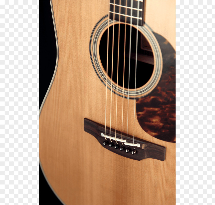 Acoustic Guitar Bass Acoustic-electric Tiple Takamine Guitars PNG