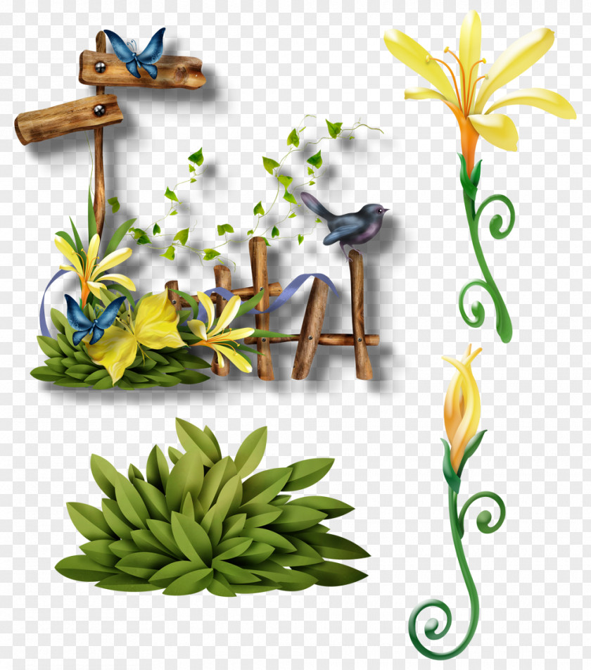Butterfly Birds PNG