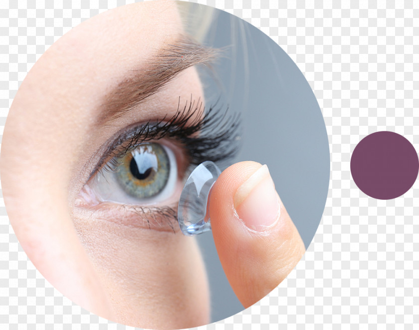 Contact Lenses Eye Care Professional Toric Lens Bifocals PNG