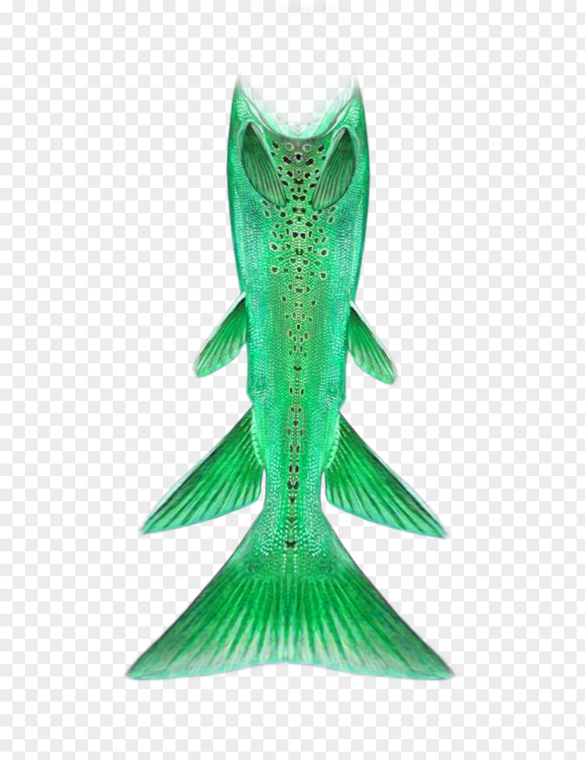 Creative Beautiful Green Mermaid Tail PNG