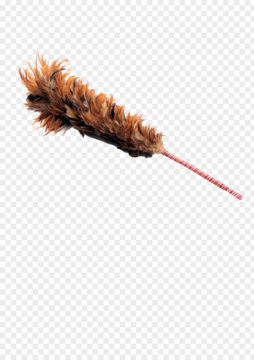Feather Duster Cleaning PNG