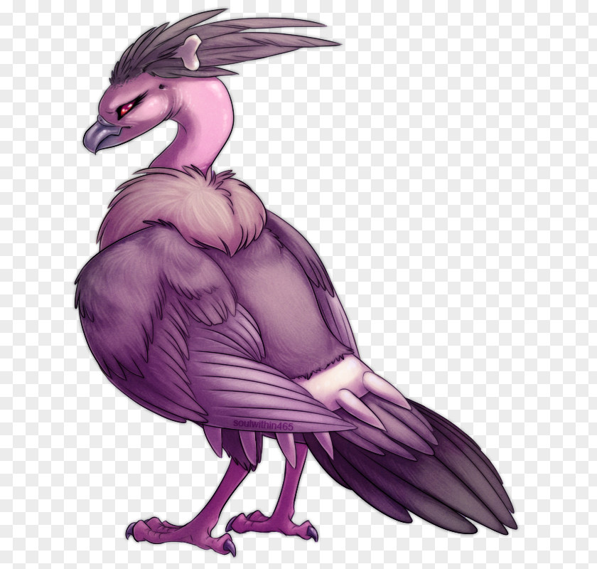 Feather Fan Beak Goose Cygnini Bird PNG