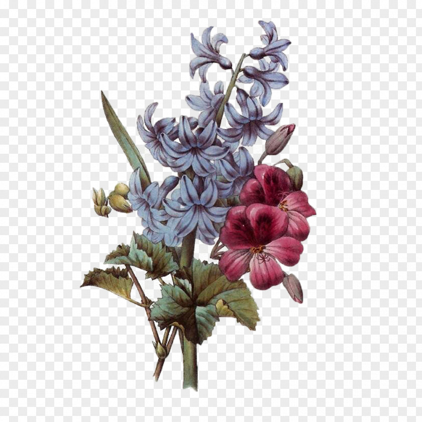 Flower Bouquet Floral Design Botanical Illustration Clip Art PNG