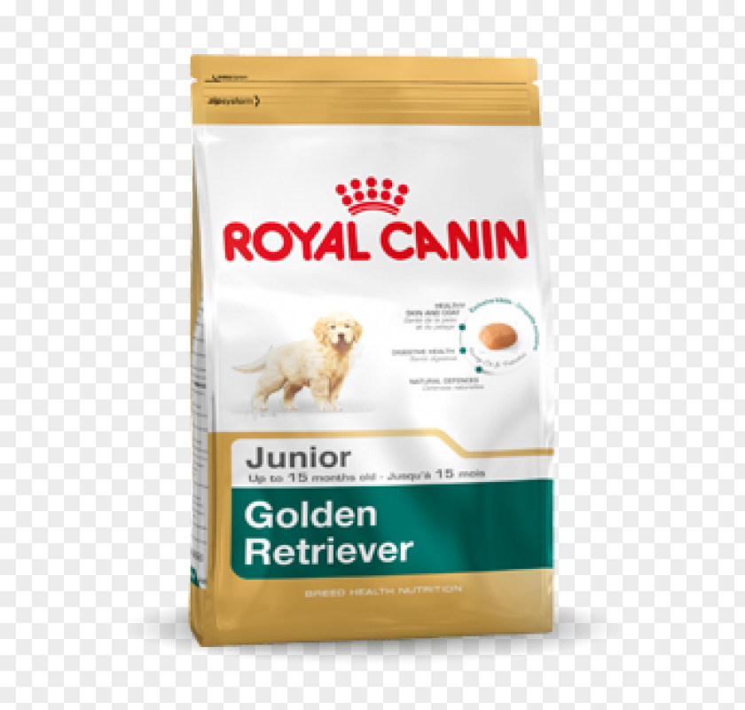 Golden Retriever Labrador Puppy Pug Cat Food PNG