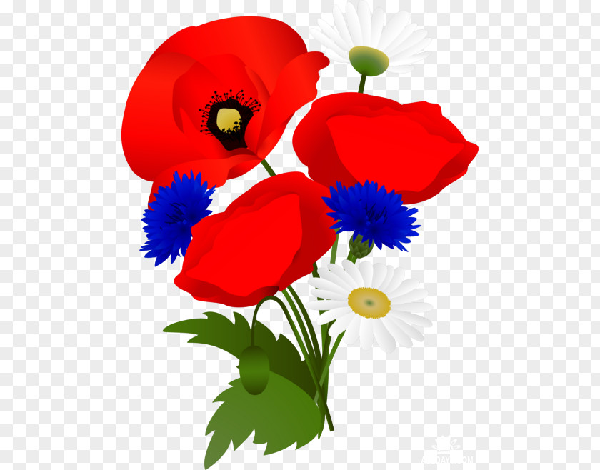 Poppy PNG