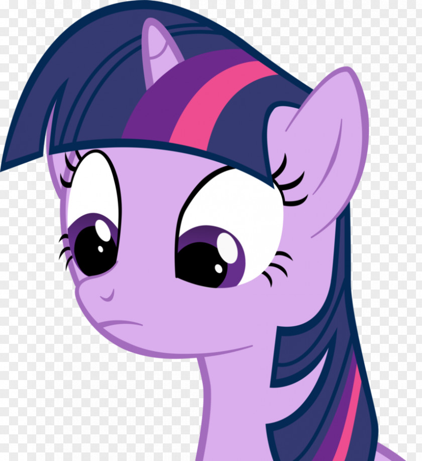 Twilight Sparkle Pinkie Pie The Saga My Little Pony YouTube PNG