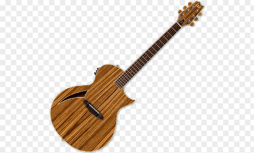 Acoustic Guitar Acoustic-electric ESP Guitars PNG