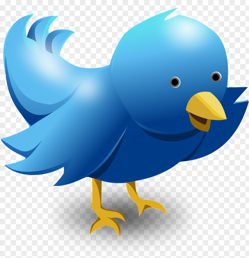 Bird Cartoon Social Media Logo PNG