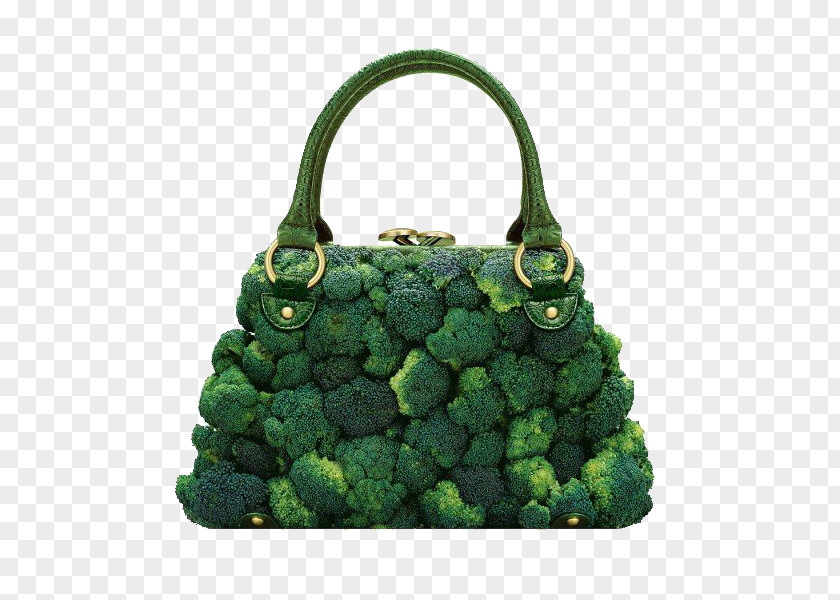 Broccoli Bags Italy Photographer Fashion Taste Food PNG