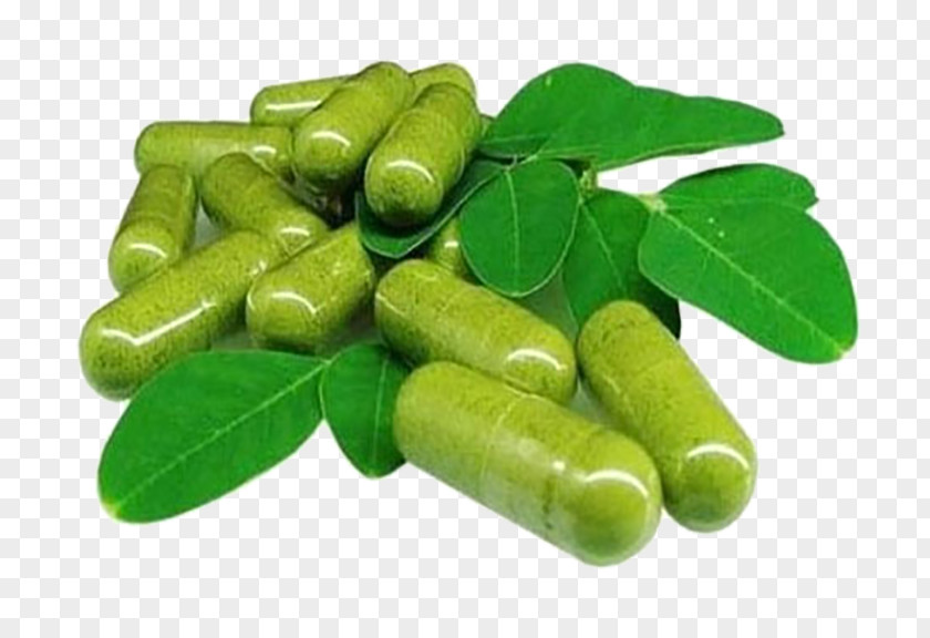 Capsule Food Plant Leaf Fruit PNG