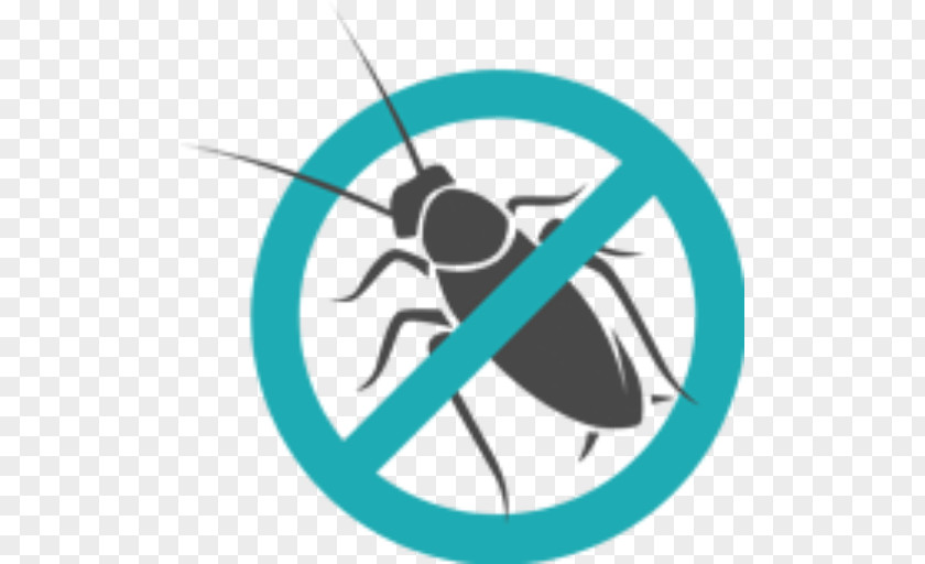 Insect Pest Control Mosquito Cockroach PNG