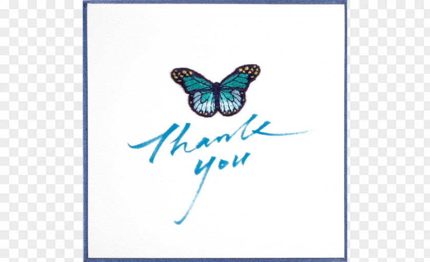 Insect Turquoise Font PNG
