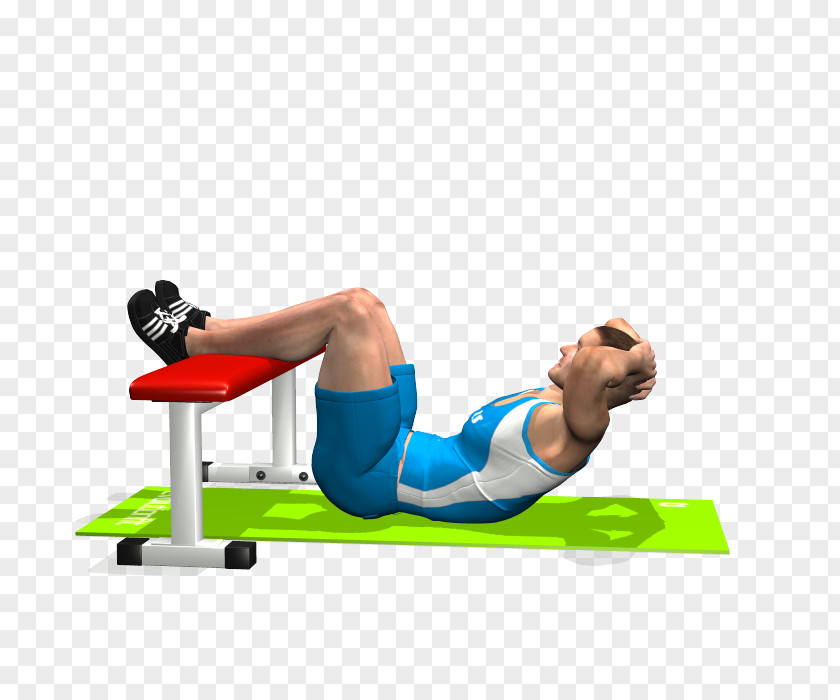Push Up Crunch Bench Exercise Bauchmuskulatur Weight Training PNG