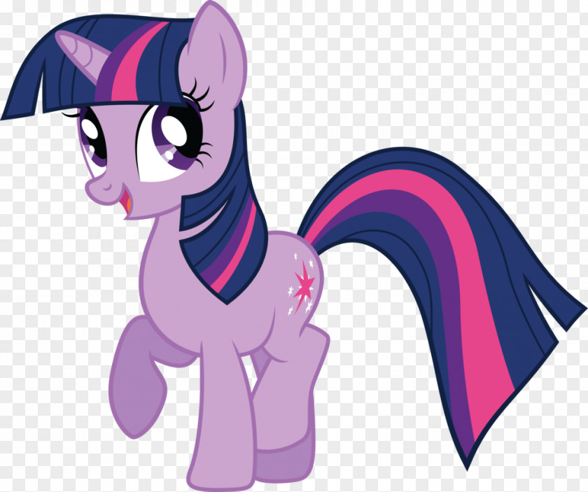 Twilight Sparkle Rarity Pinkie Pie Pony Rainbow Dash PNG