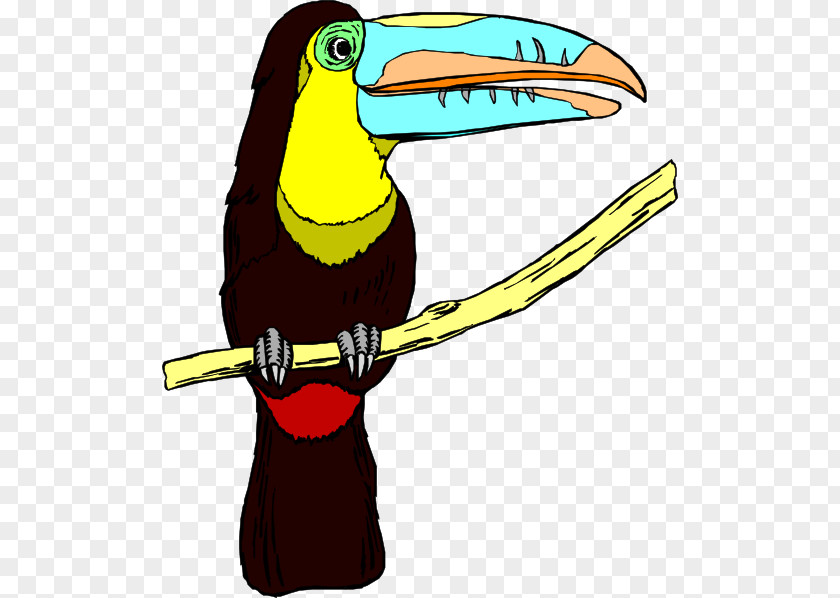 Beak Cliparts Toucan Bird Clip Art PNG
