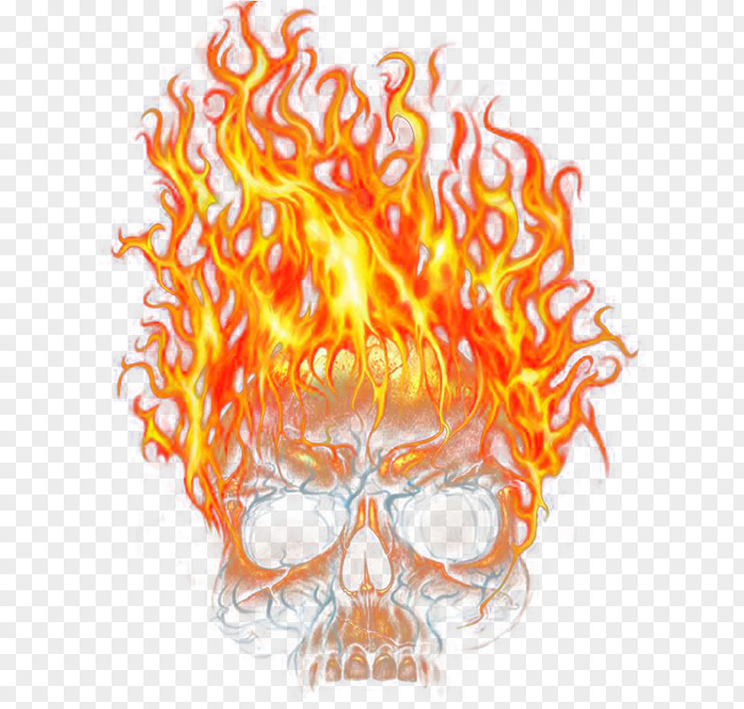 Flame Skeleton Skull Computer File PNG