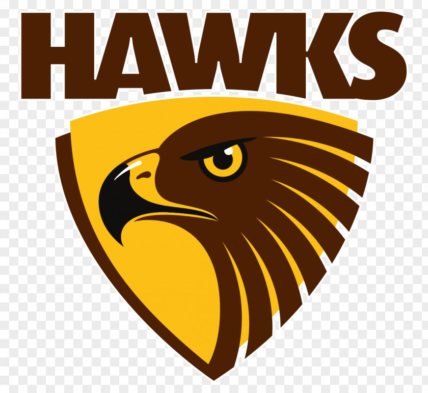 Hawk Hawthorn Football Club Australian League Box Hill Hawks Rules PNG