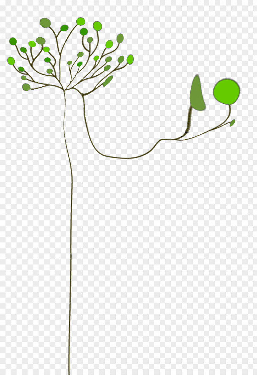 Img_tree. Email The Daily Clip Art Leaf Plant Stem PNG