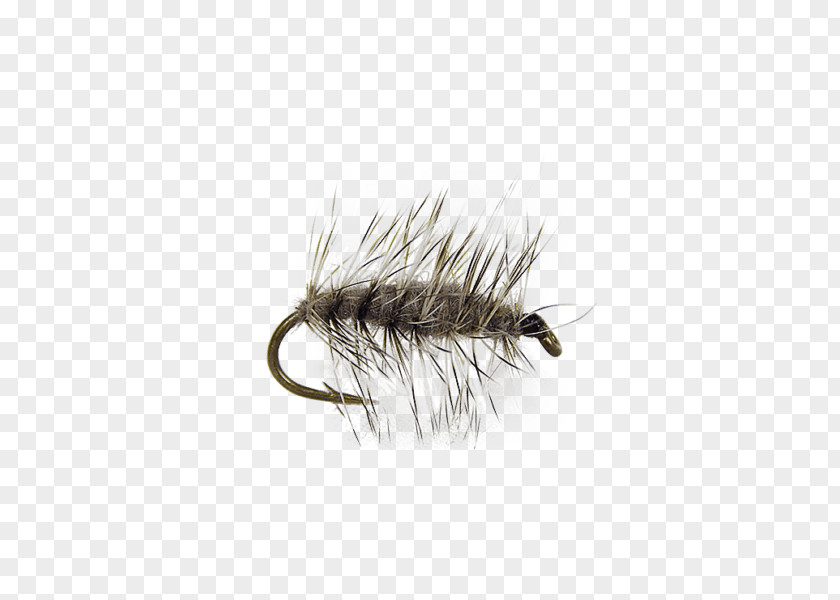 Insect Muskrat Artificial Fly Nymph PNG