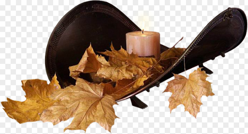 Leaf Autumn Blog Clip Art PNG