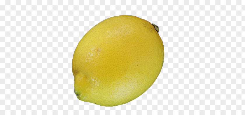 Lemon Sour Yellow PNG
