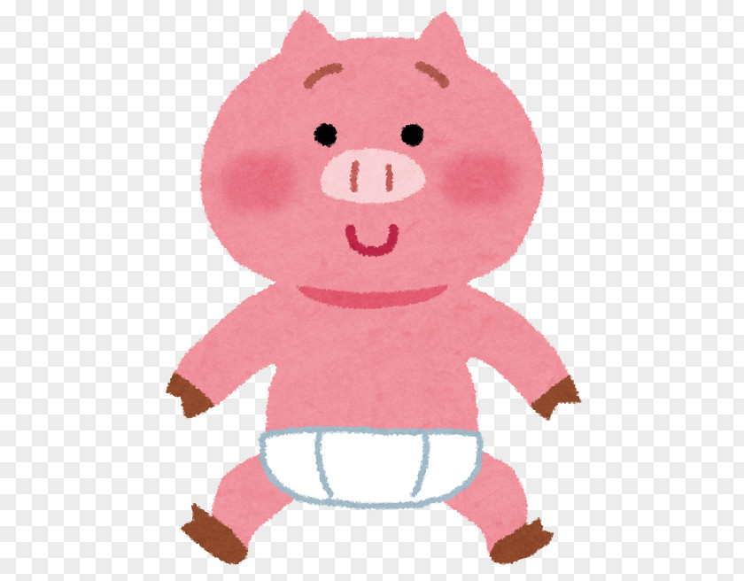 Pig Domestic Diaper Mummy Child PNG