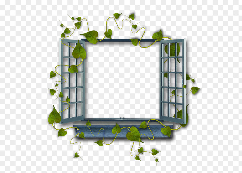 Window Animation Photography PNG
