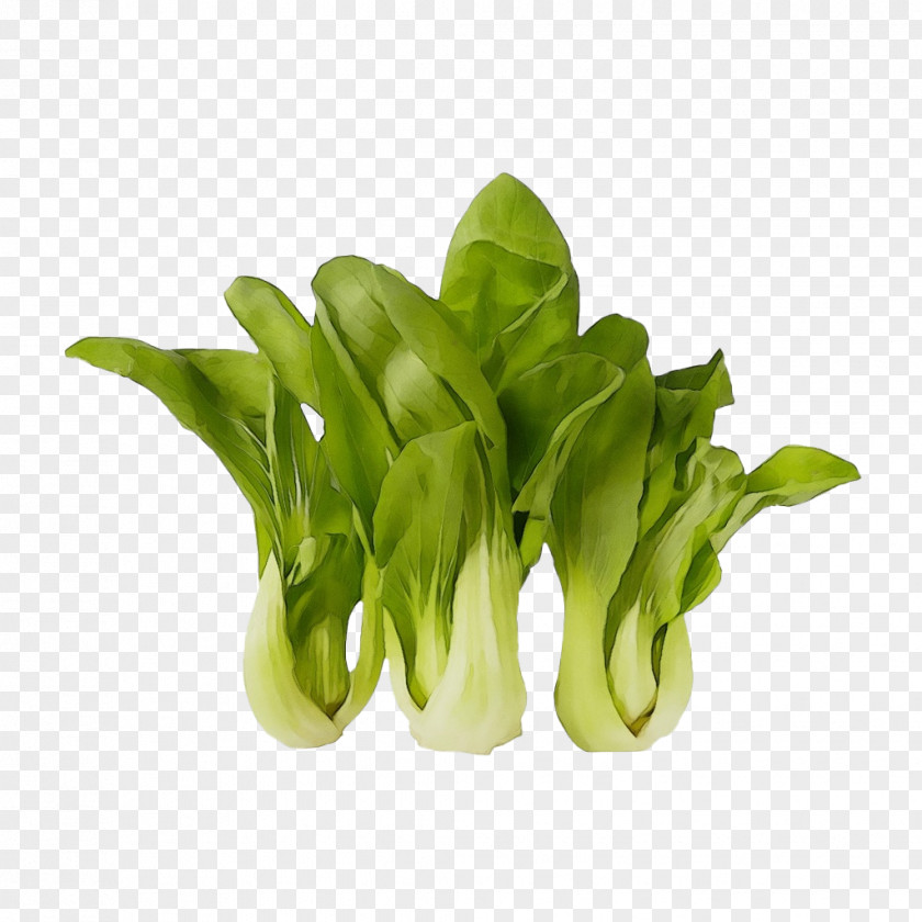 Choy Sum Spinach Leaf Vegetable Komatsuna PNG