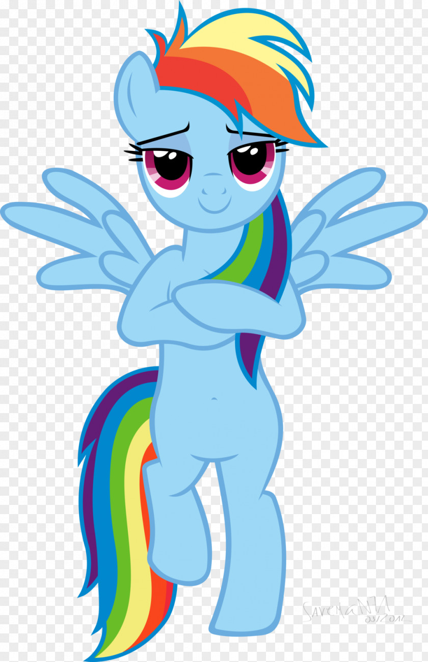 Horse Pony Rainbow Dash Twilight Sparkle Pinkie Pie Rarity PNG
