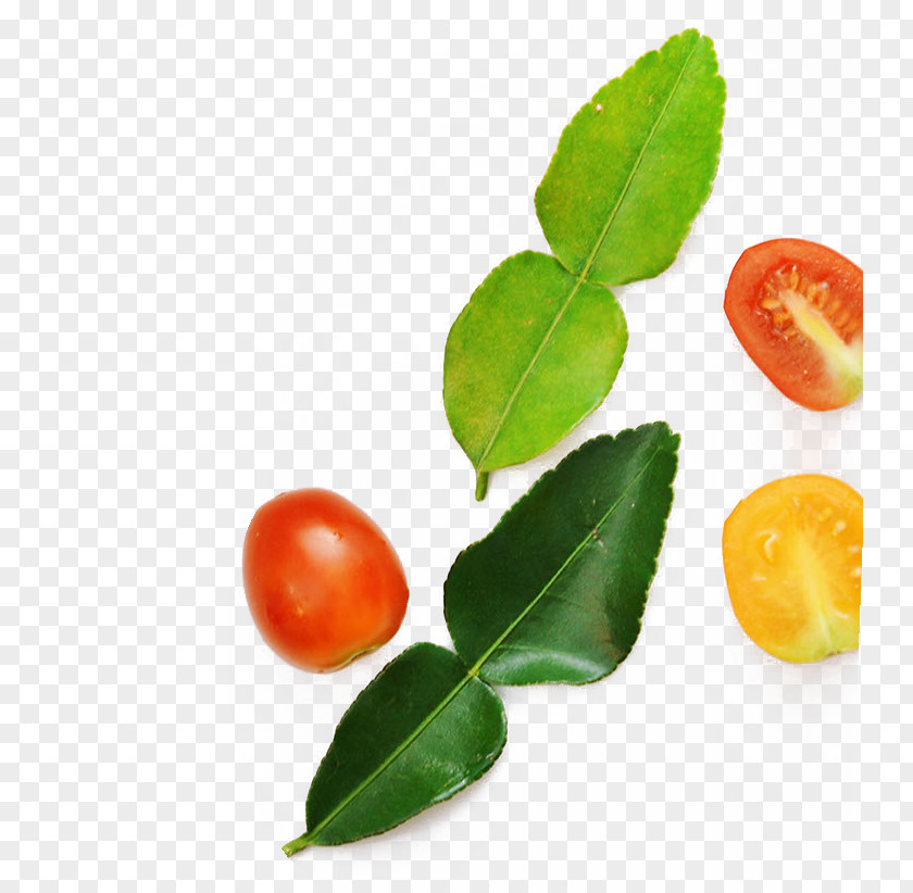 Leaves And Tomato Zongzi Shrimp Prawn As Food Take-out Ingredient PNG