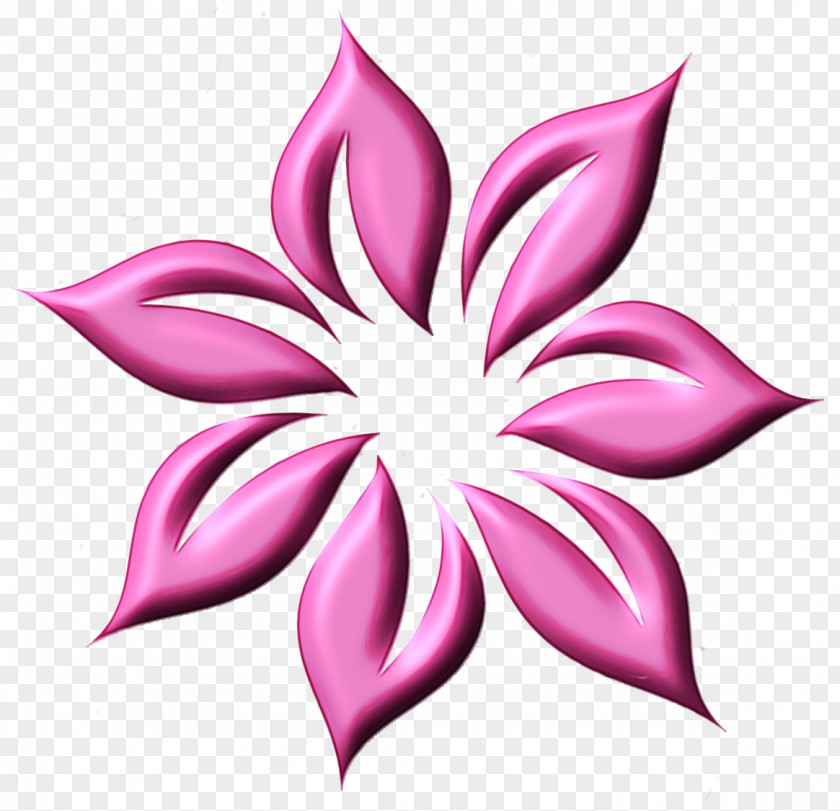 Petal Pink M Symmetry Flower Plants PNG
