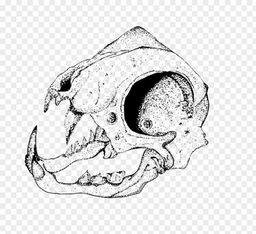 T-shirt Skull Nose Car Jaw Mouth Sketch PNG