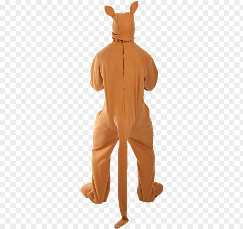 Kangaroo Macropodidae Costume Suit Bra PNG