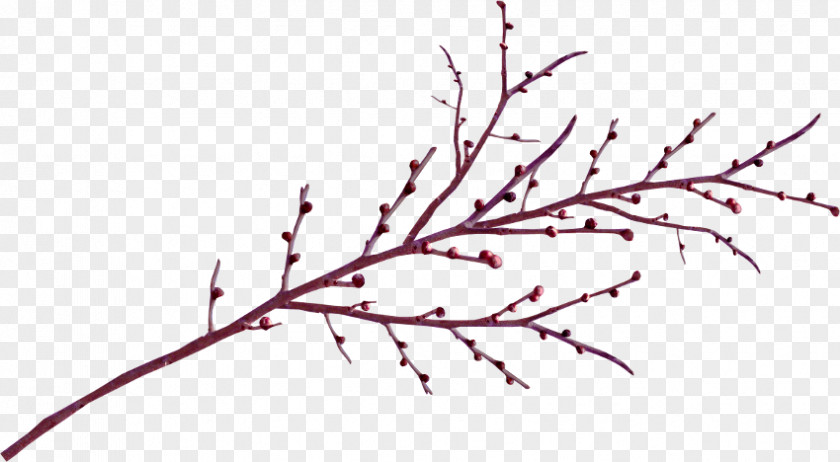 Leaf Twig Branch Clip Art PNG
