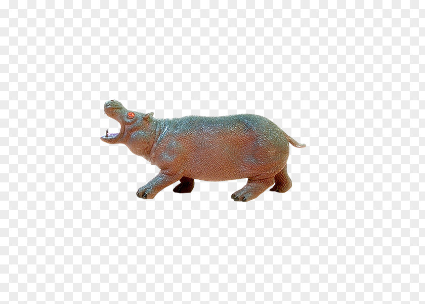 Nd Pig Hippopotamus PhotoScape GIMP Fauna PNG