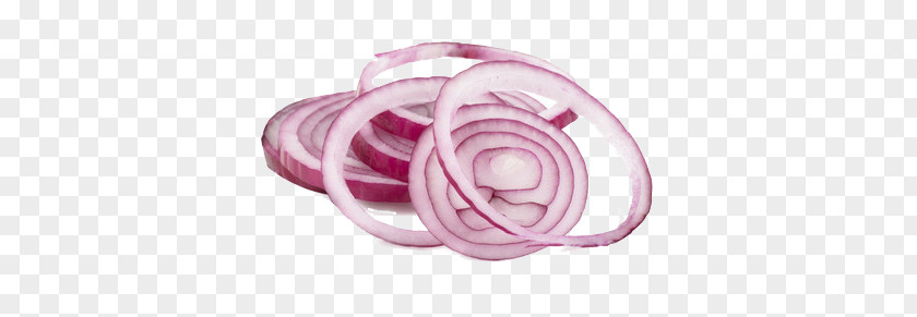 Spread Onion Slices PNG onion slices clipart PNG