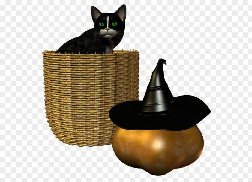 Cat Whiskers Tree Furniture PNG