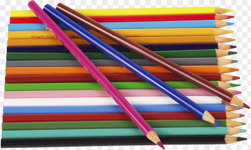 CRAYONS Pencil Office Supplies Clip Art PNG