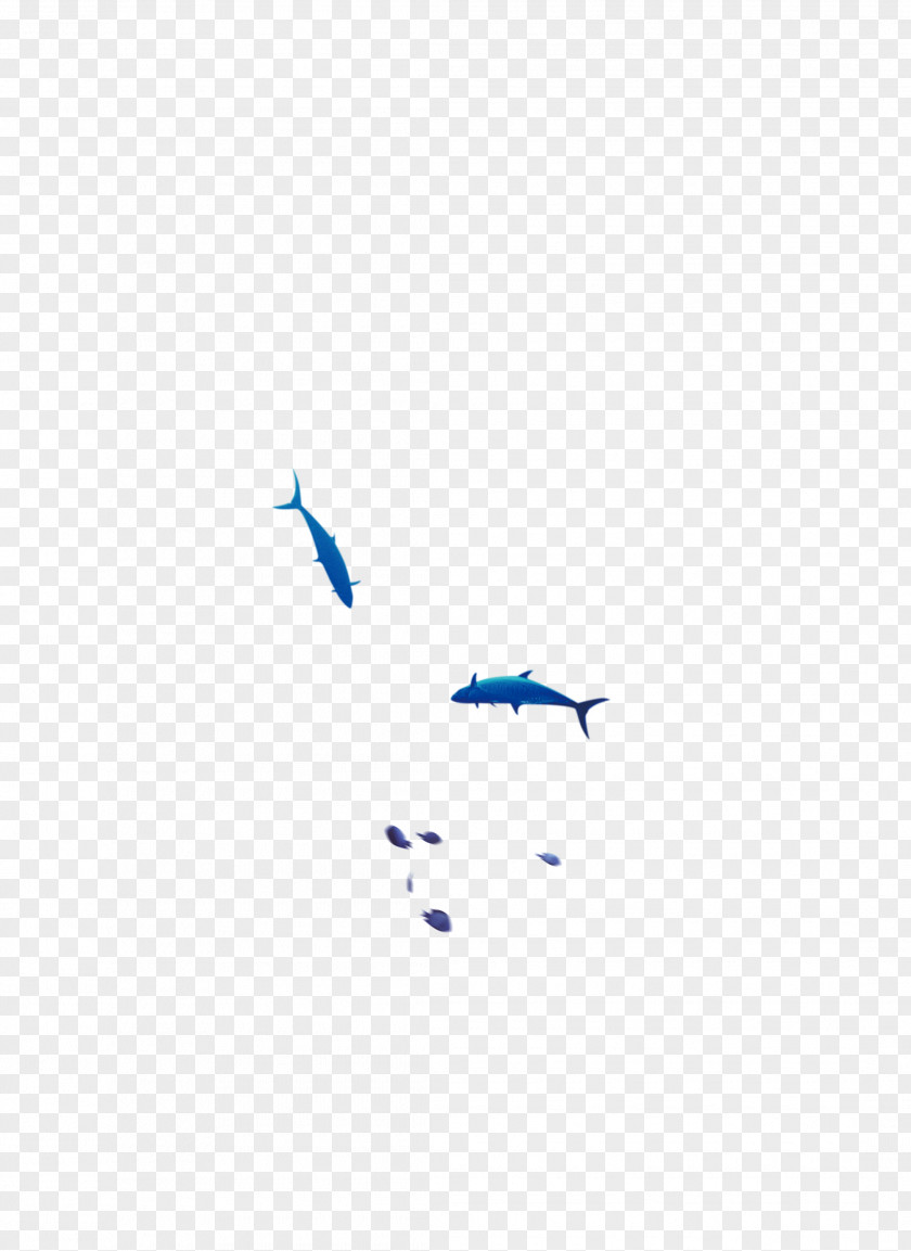 Fish Area Angle Pattern PNG
