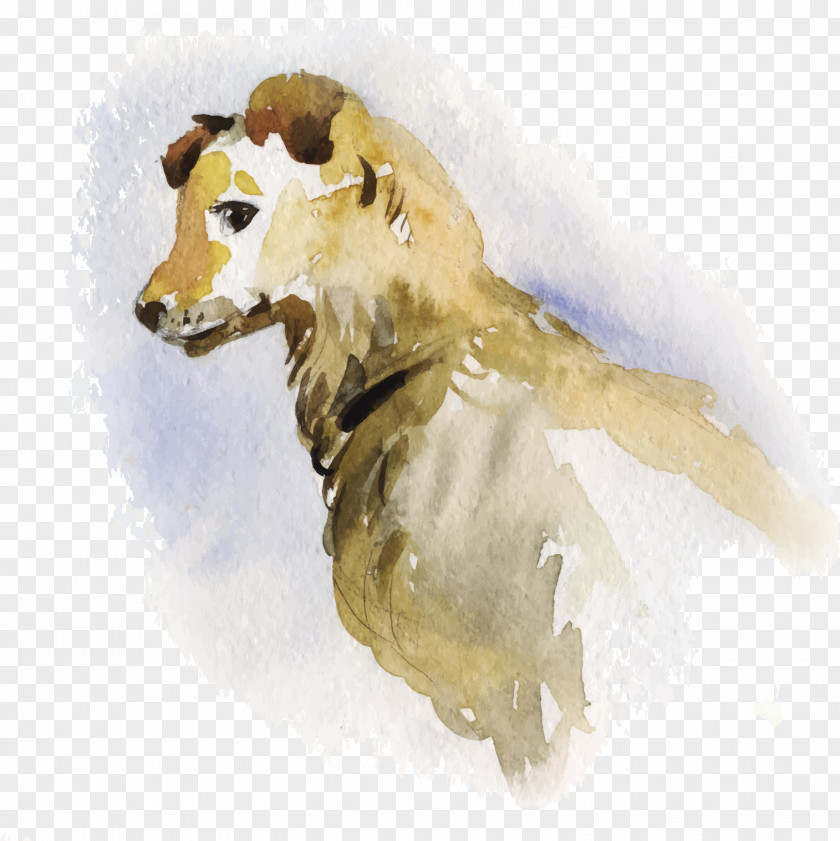 Floating Watercolor Small Dog Painting Portrait Illustration PNG