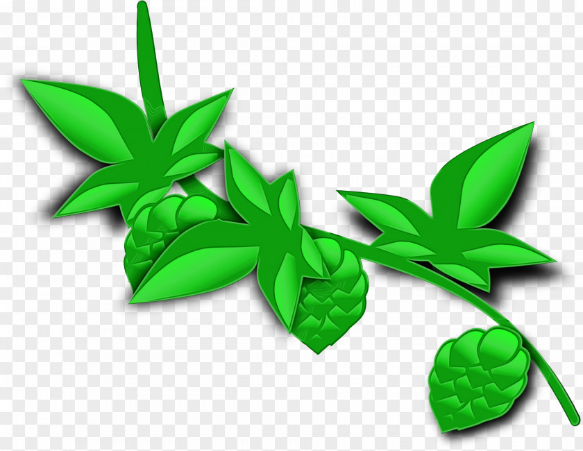 Flower Herbal Green Leaf Watercolor PNG