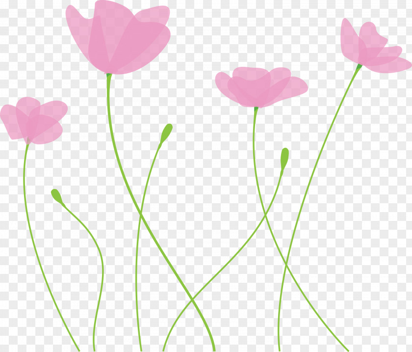 Poppy Flower PNG