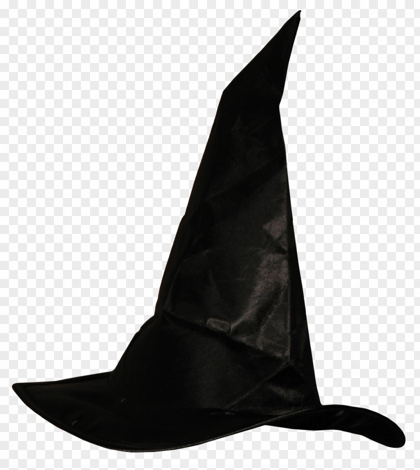 Potter Witch Hat Harry Witchcraft Blogcu.com PNG