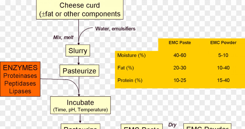 Production Process Cheesemaking Penicillium Roqueforti Enzyme Cheddar Cheese PNG