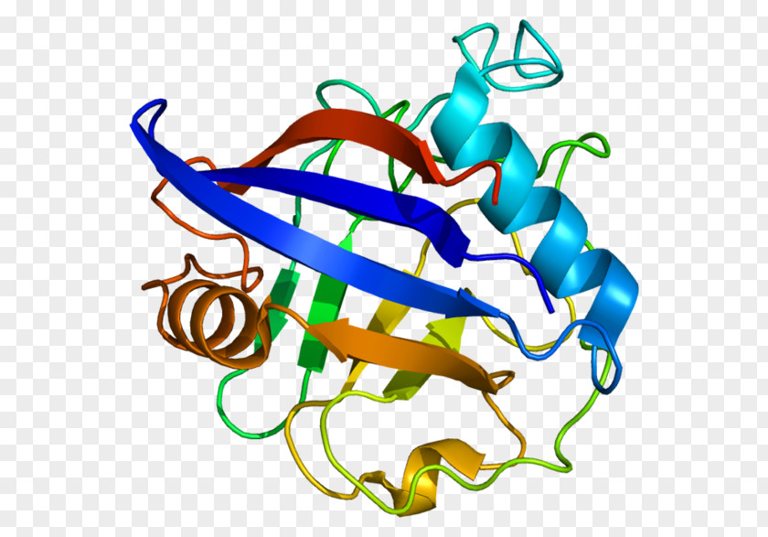 Reference Gene Triosephosphate Isomerase Nucleic Acid Sequence DNA PNG