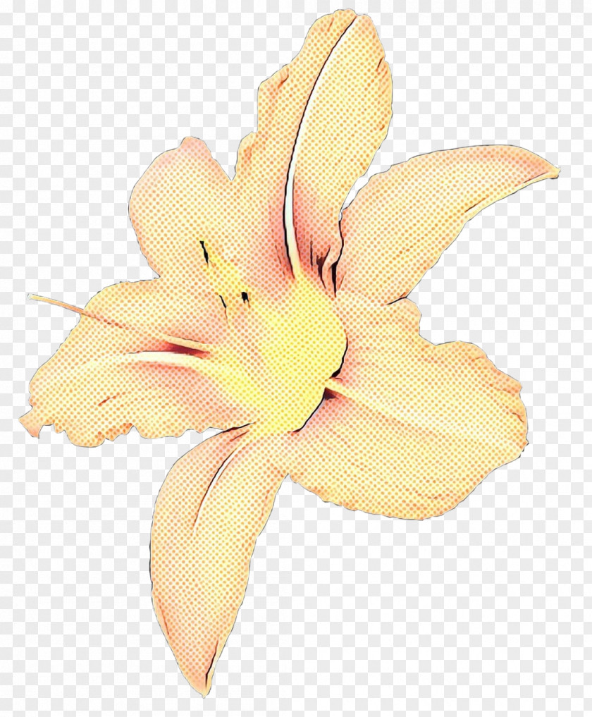 Rhododendron Hippeastrum Lily Flower Cartoon PNG