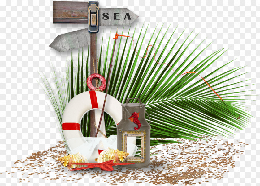 Sea Crociera Clip Art PNG