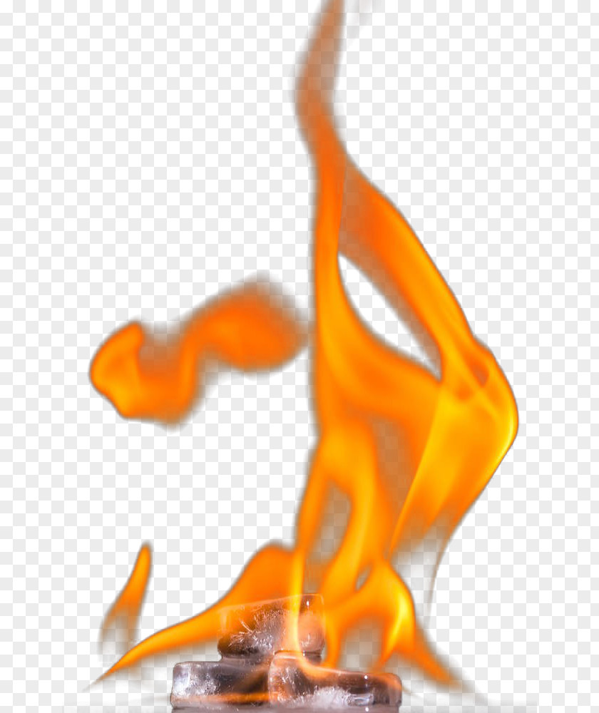 The Burning Flame On Ice Organism PNG