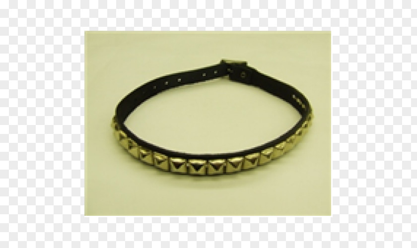 Neckband Bracelet Bangle Belt PNG