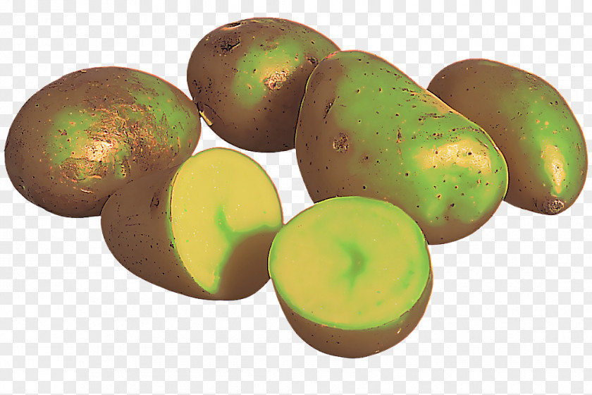 Potato Superfood Food Plant Fruit Vegetable Solanum PNG